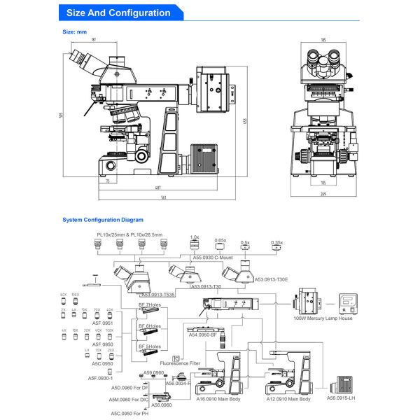 Trinocular Infinity Optical Fluorescence Microscope With Halogen Lamp