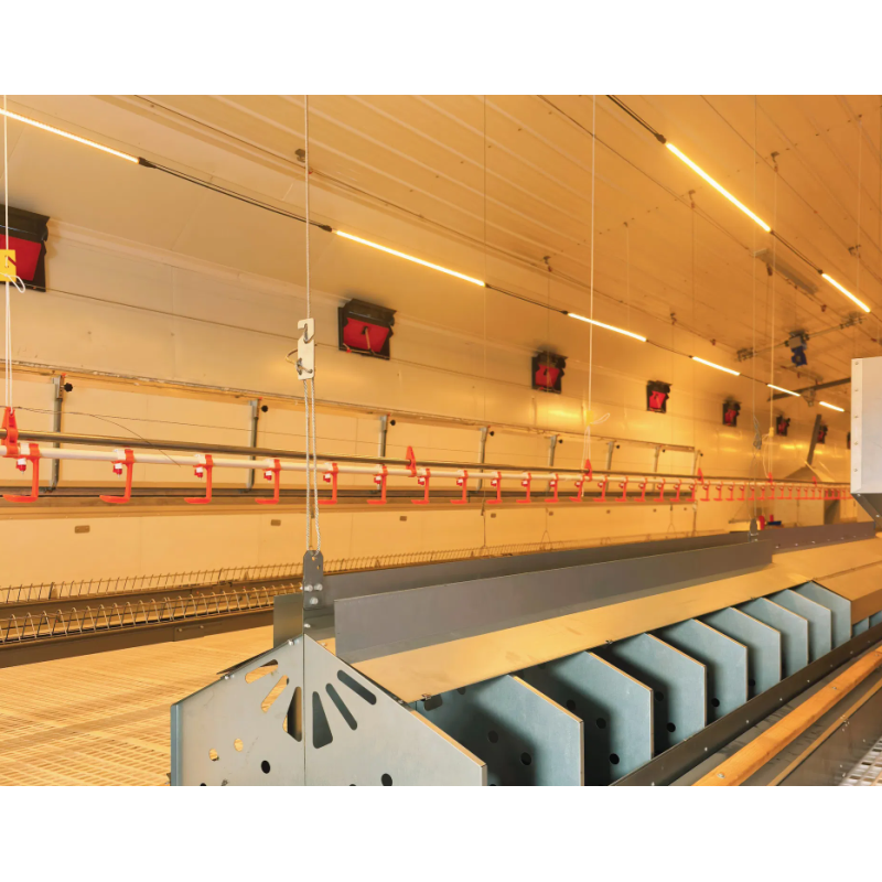 Galvanized Steel Adjustable Height Corrosion Resistant Poultry Feeding System for Broilers