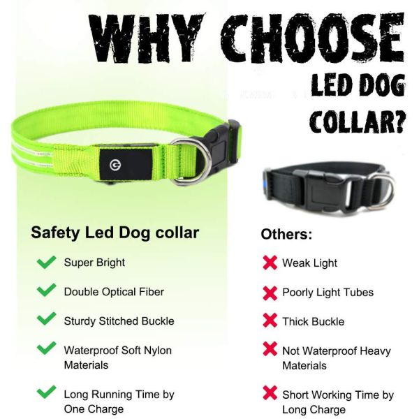 Sturdy Durable LED Dog Collar USB Rechargeable Customized 5 Sizes Option