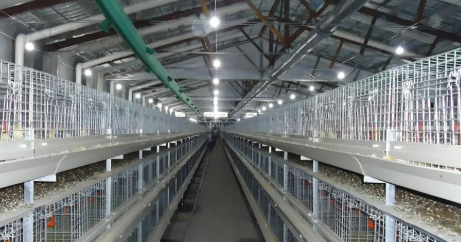 High Space Utilization Mold-Proof Prefabricated Steel Structure Chicken Coop