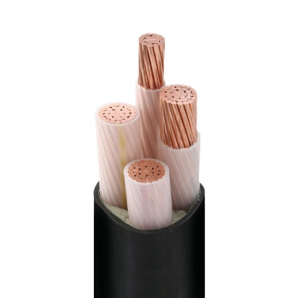 YJV22 STA Armored Power Cable XLPE PVC Sheath Underground Burial Electrical Cable 0.6/1kV