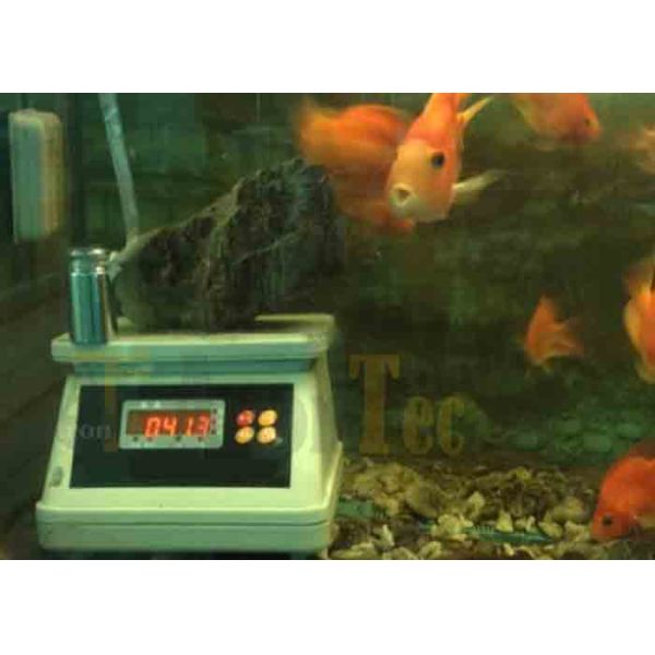 Double LED Display ABS Waterproof Kitchen Scale 30kg