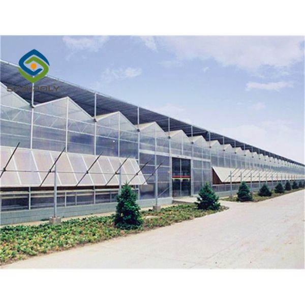 120km/H Multi Span Polycarbonate Aluminium Greenhouse With Irrigation System
