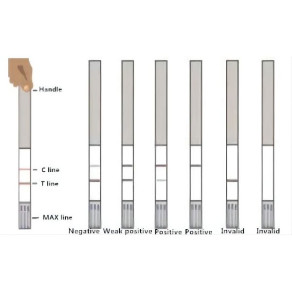 Florfenicol Rapid Test Strip Milk Test Kit 96 Tests/Kit 0.2 To 0.3 Ppb