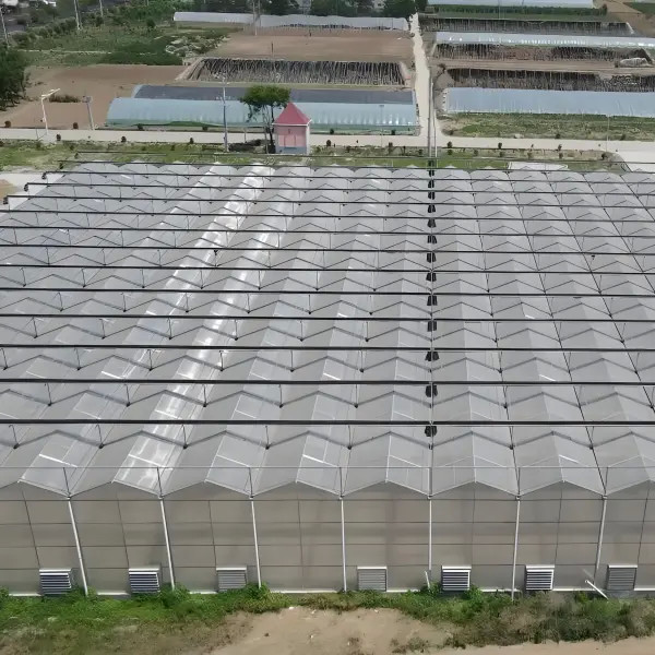 Polycarbonate Venlo Greenhouse for Flower With Shading Systems