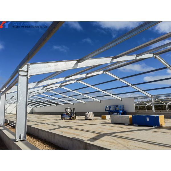 Customized Piggery Shed Steel Structure Animal Husbandry Green House