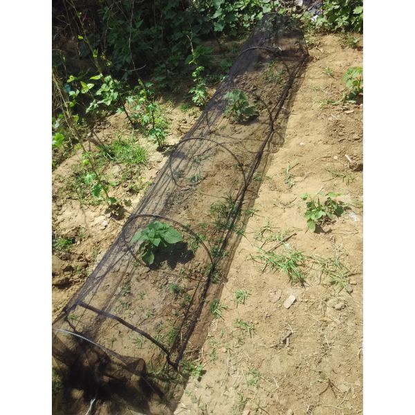 Casual Polyester Mosquito Net Stop Mosquito Net For Baby