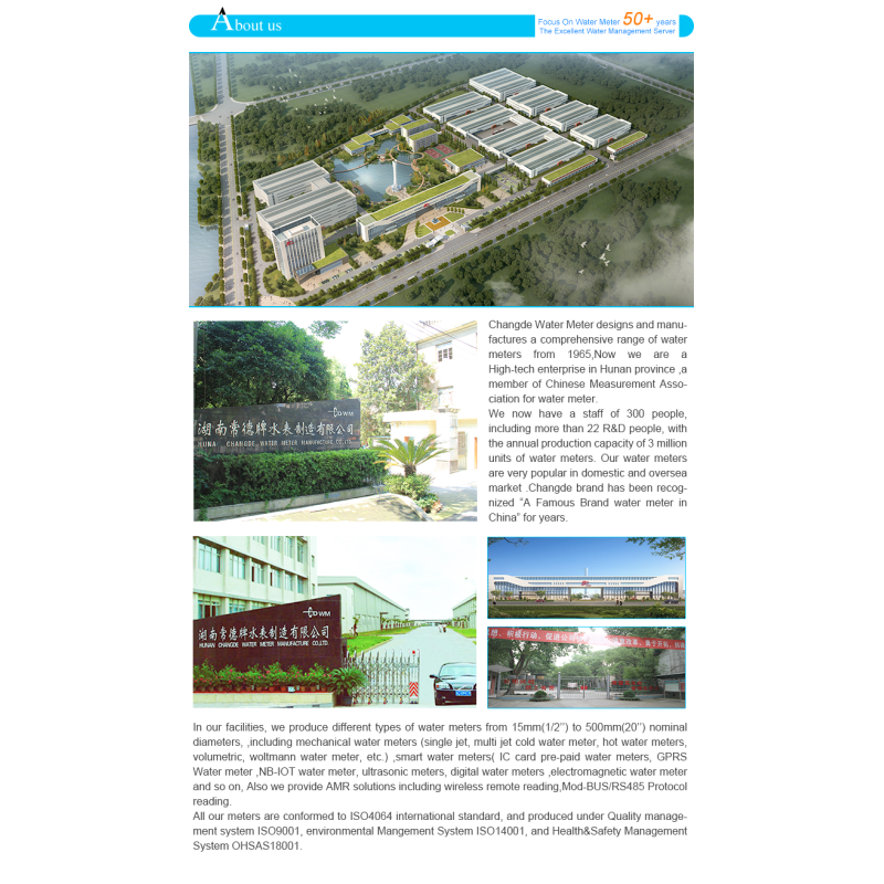 OEM Customizable Wireless Remote Reading LoRa Water Meter High Customizability Product