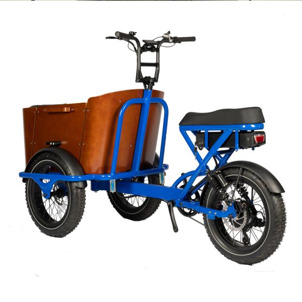 NO Foldable Three Wheel Cargo Tricycle E-bike for Family and Food Delivery Customizable