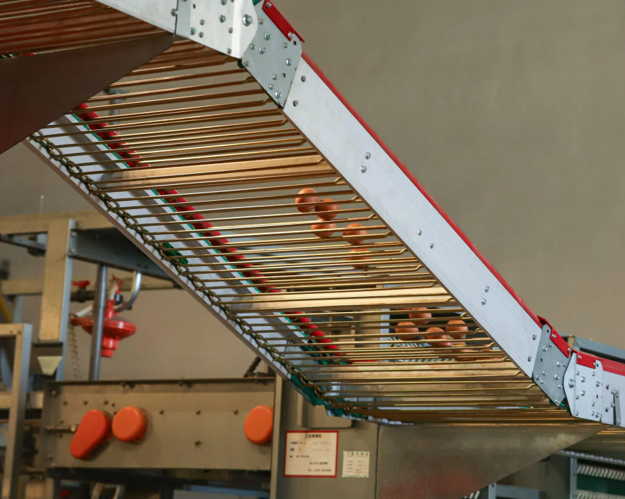 Hot-Dip Galvanized Steel H Type Layer Chicken Cage with Automatic Feeding System and Modular 4-8 Tiers