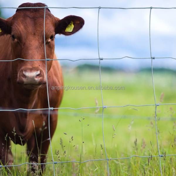 Galvanized Hinge Joint Fence For Farming And Livestock Protection In Any Climate