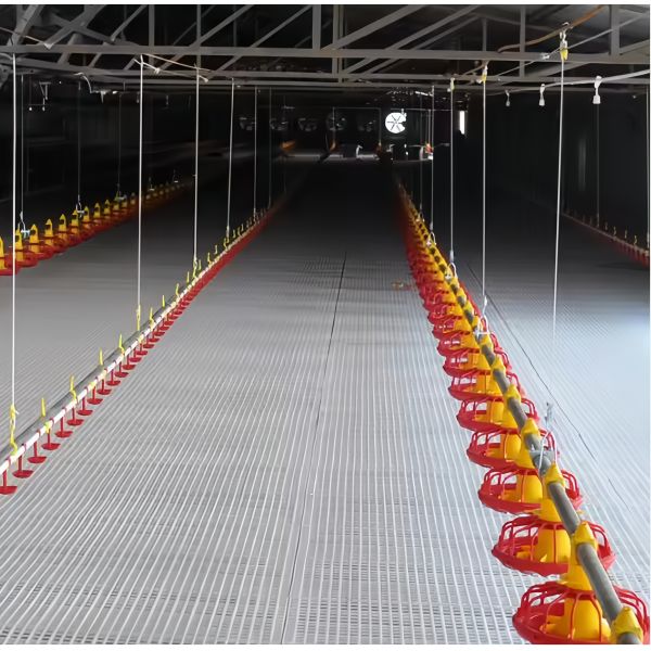 Anti Rust Broiler Pan Feeding System Automatic Plastic Slat Floor For Poultry