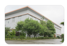 Silicone Snow Lambe Breast Prosthetic Implants 5