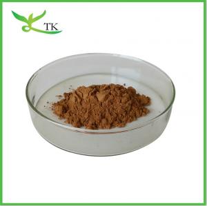 China Wholesale Natural Dandelion Root Extract Powder Dandelion Extract Flavones 5% 10% on sale
