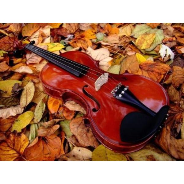 Violin china play Beethoven Violin Sonata No.5 Universal Violin Accessories Professional Use Classical Box For Violin