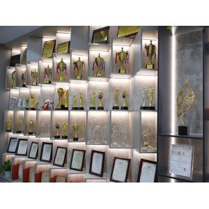 Changzhou DLX Alloy Co., Ltd.