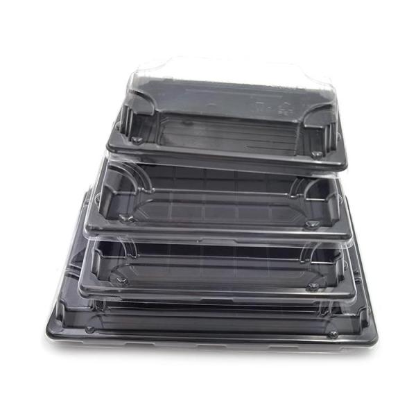 Clear Plastic Blister Thermoforming Rectangular Sushi Box Container Custom Food Grade