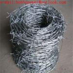 security barbed wire fencing / galvanized barbed wire/double twist barbed wire/