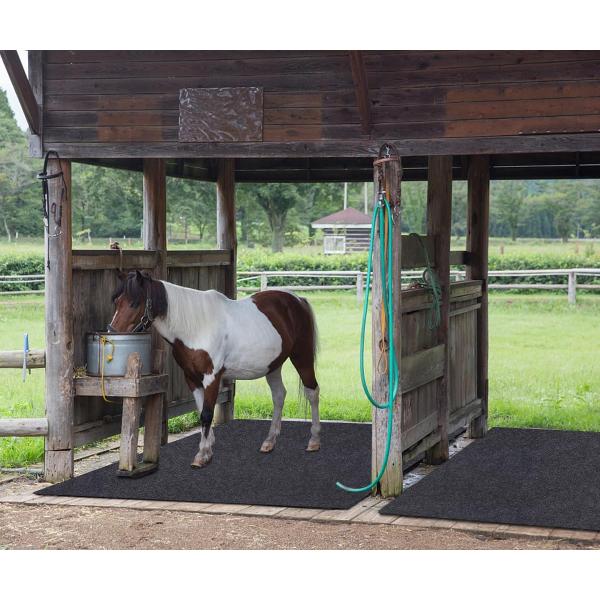 Equine Stall Mats Duty Stall Mats For Floor Surface Absorbent Mat Lightweight Washable Floor Mat Back Non-Slip (8' X 8')