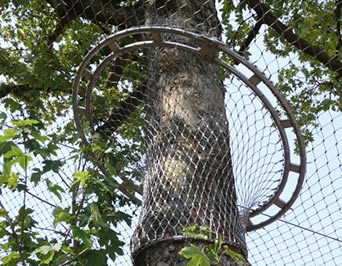 1.5" × 1.5" Opening Stainless Steel Aviary Netting Light Weight Aisi 304