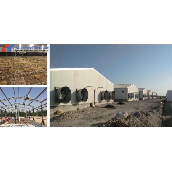 KXD Broiler Poultry Equipment Automatic Poultry Farm Plastic Slatted Flooring