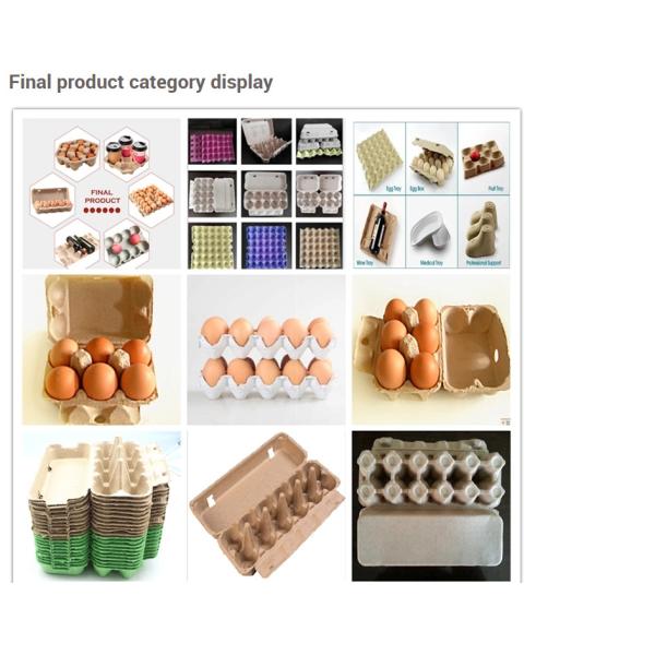 Factory direct sale 1000pcs/hour full Automation Egg Tray Machine Forming Machine