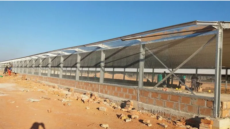 Galvanized Light Steel Frames Single Layer Corrugated Steel Plate Roof Broiler House
