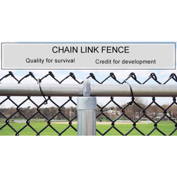 Green Pvc Coated Chain Link Mesh For Sports Venues , 50x50mm Chain Wire Fencing