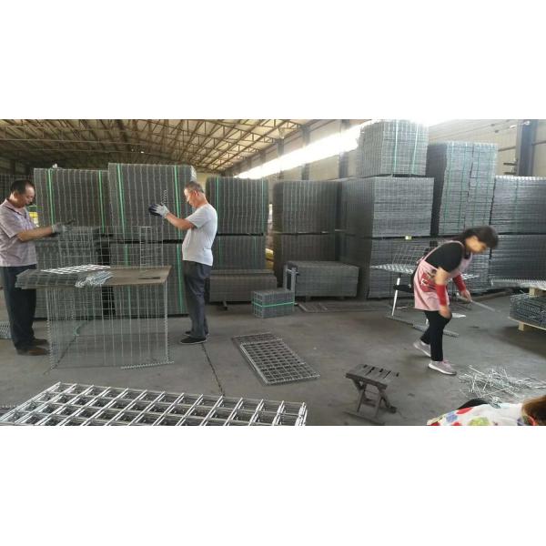 Hot Dipped Gabion Wall Planter