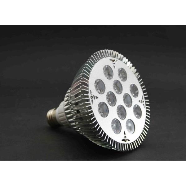 2016 Dimmable LED par light Led Spot Lighting 12W / E27 Led Replacement For Halogen Bulb