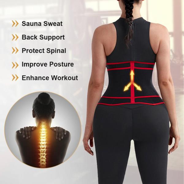 Neoprene Fabric Slimming Tummy Belt for Adults Hexin Private Label Waist Trainer