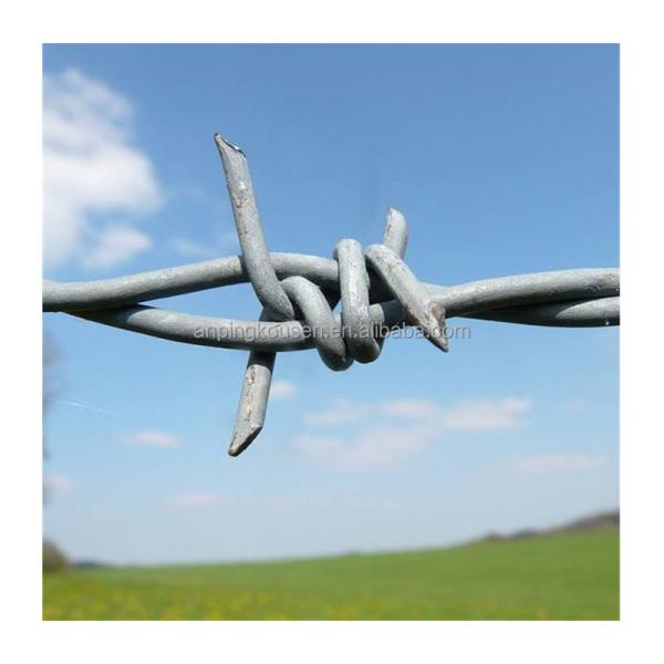20m/25m/30m/50m Galvanised Steel Razor Barbed Wire Security Fencing Concertina Wire