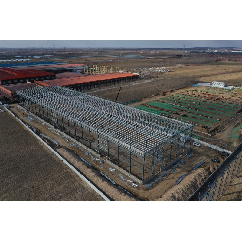 Long-term Value Steel Structure Buildings