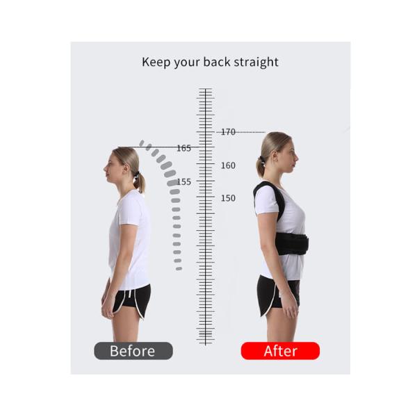 Steel bone support adult back posture correction with posture lumbar correction device