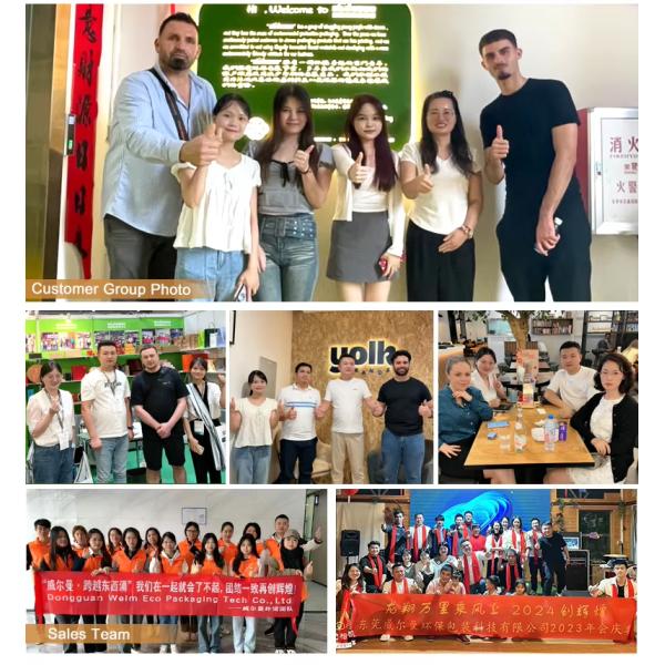 Custom Biodegradable Lunch Box Sustainable Sushi Burger Salad Packaging Solution