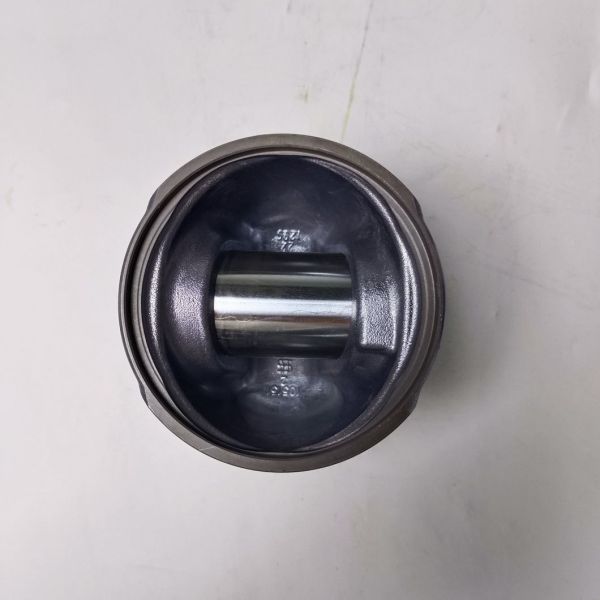 Diesel Engine Piston 4115P017 40234620