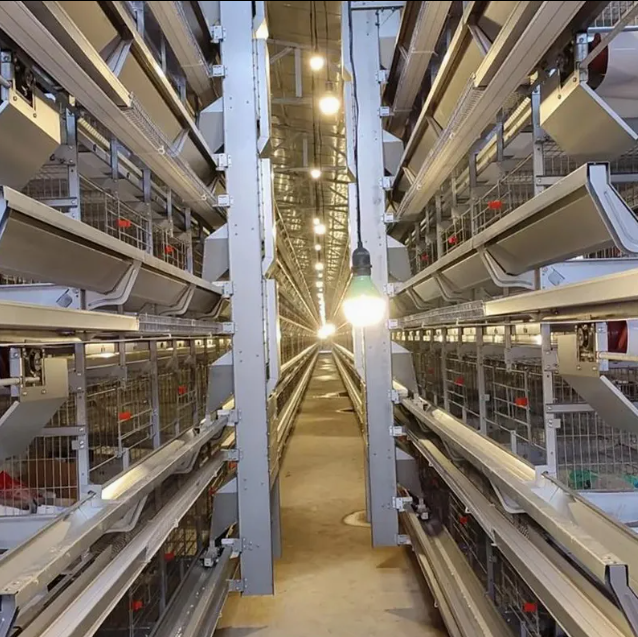 KXD Automatic Battery Cages for Laying Hens - High-Cost-Effective Corrosion Resistant Poultry Layer Farm Equipment with Automated Egg Collection
