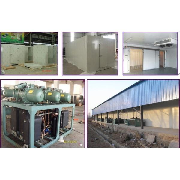 Automatic Defrost Cold Storage Warehouses , Restaurant Cold Room 13HP