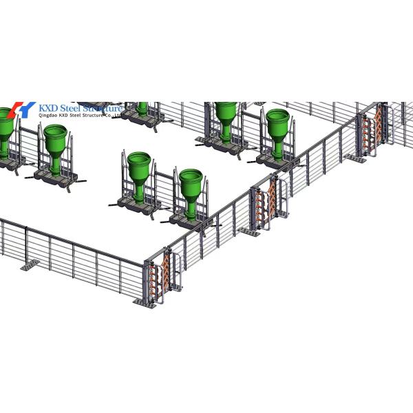 Fast Build Steel Structure Poultry Shed Construction Customized