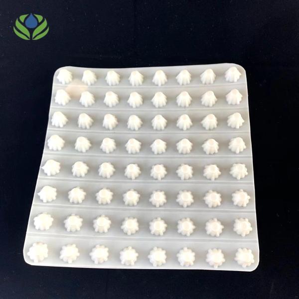 Modern Design Style Drainage HDPE Composite Drainage Board for Building and Construction
