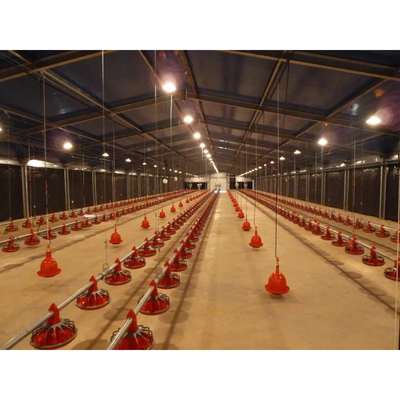 Hot Dip Galvanized Metal Steel Broiler Layer Poultry House With Automatic Brooding Equipment