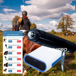 China Horse Treatment Physiotherapy Horse Shockwave Therapy Machine on sale