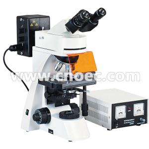 China 100X Wide Field Fluorescence Microscope Trinocular Compound Microscopes A16.0203 on sale