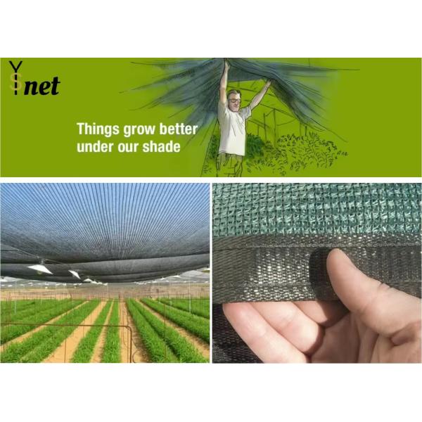 Customized Sun Shade Net 1m - 12m Width Polyethylene Shade Cloth