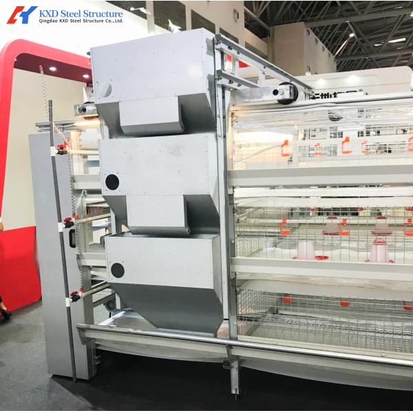 Modern Steel Poultry House Chicken Egg Collection System For Laying Hen