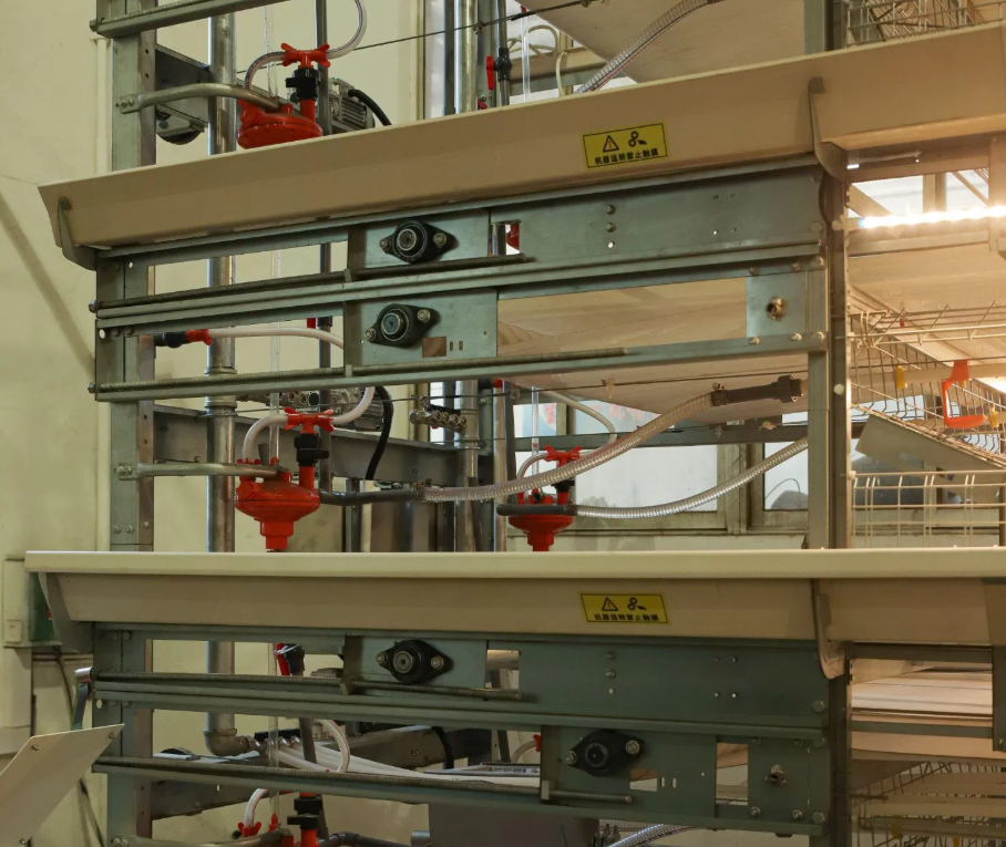 Hot-Dip Galvanized Steel H Type Layer Chicken Cage with Automatic Feeding System and Modular 4-8 Tiers