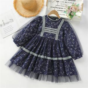 China Spring Children'S Clothing Small Floral Dress Girls Long Sleeved Princess Dress on sale