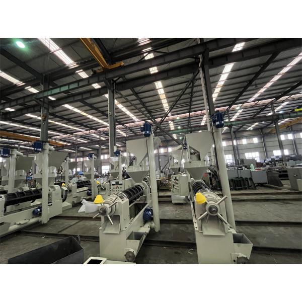 Large Capacity Automatic Feeding System Machine Commerical Cold Press Machine Black Sesame Oil Press Coconut Oil Expeller