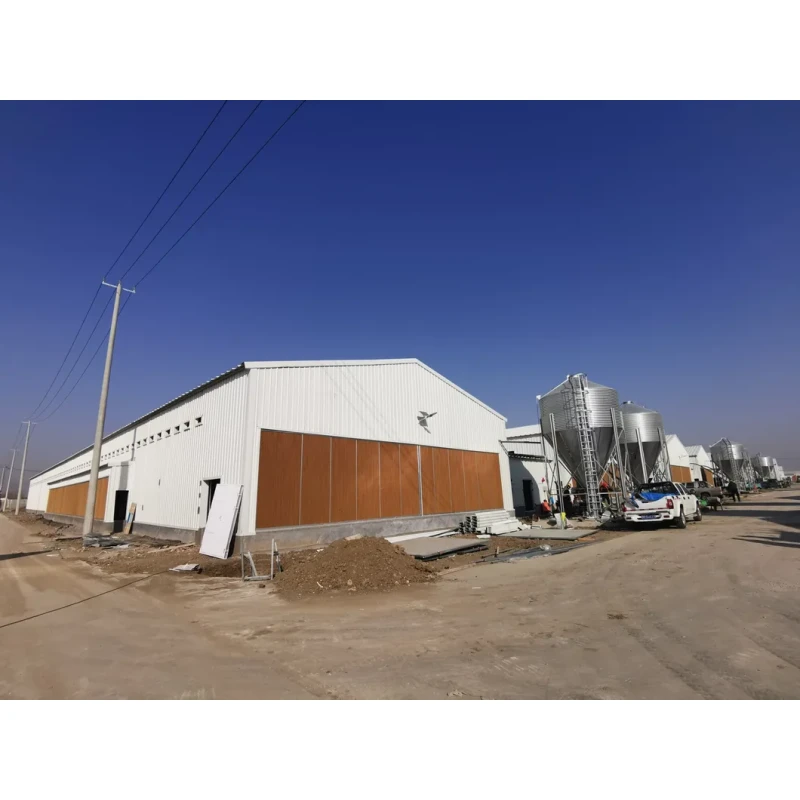Insulation Panel Prefab Steel Structure Metal Breeding Poultry Chicken House