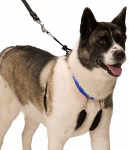 Buy cheap No Pull Dog Training Leash Halter Pet Lead Nylon Webbing Stress Free Multicolour product